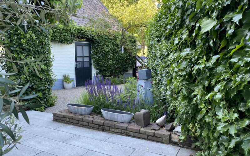 Natuurlijke patiotuin – Esch