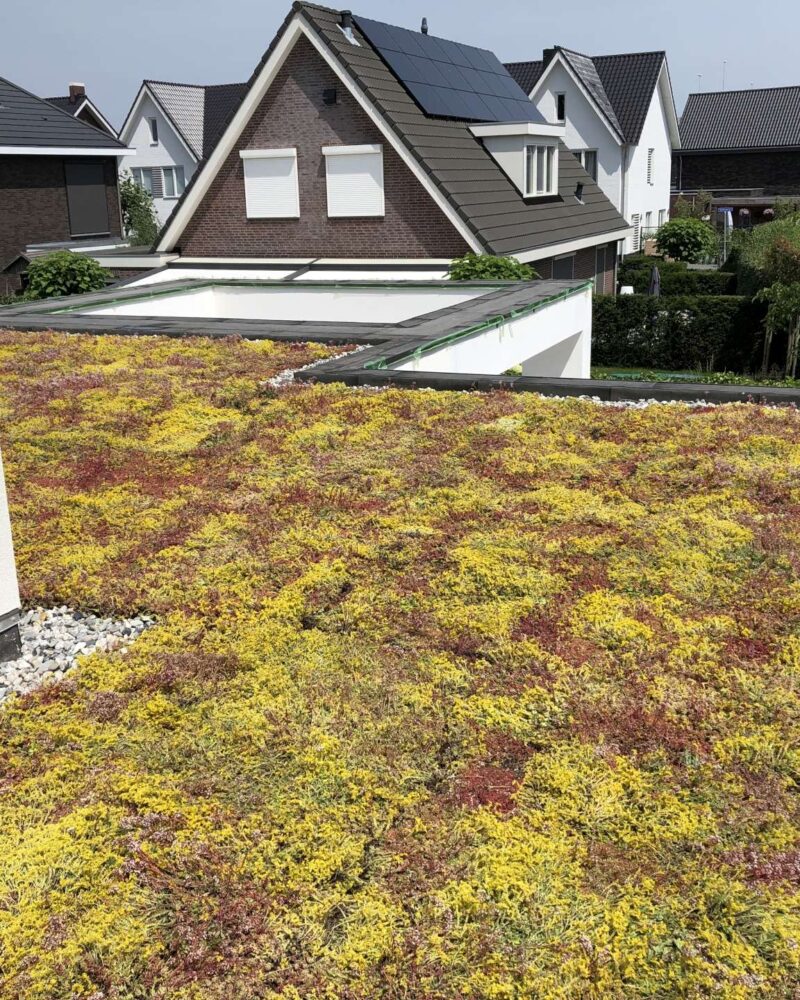 Groendak privéwoning – Breda