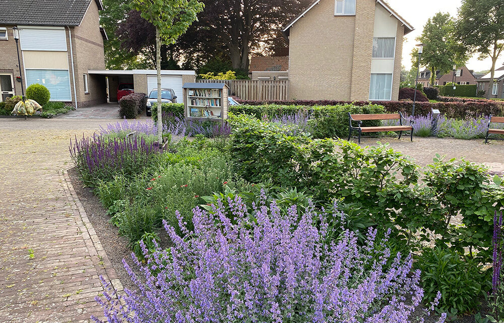 Prairiebeplanting-Puls Groenprojecten-2